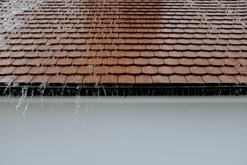 What is the best paint for waterproofing roofs?