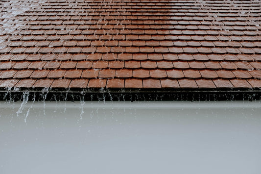 What is the best paint for waterproofing roofs?